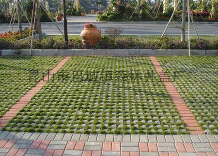 草坪砖