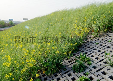 护坡砖