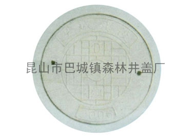 钢纤维混凝土井盖